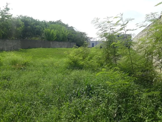 Terreno En Venta Puerto Encantado 