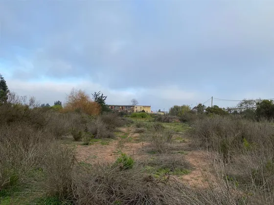 Sitio En Arriendo En La Serena