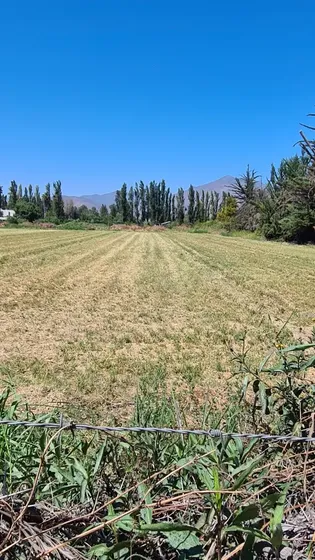 Hermosas Parcelas En Condominio, Cam. La Palma, Talagante