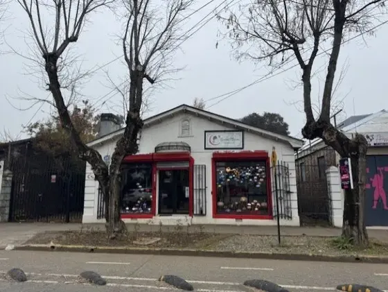 Local Comercial Sector Plaza Pinto