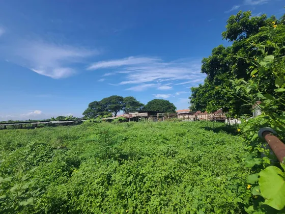 Terreno En Venta En Avenida Aragua