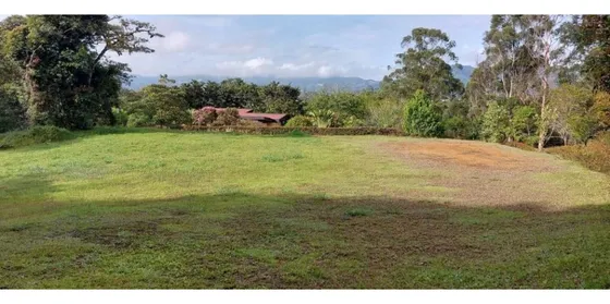 Lote Para Venta En La Ceja Antioquia 
