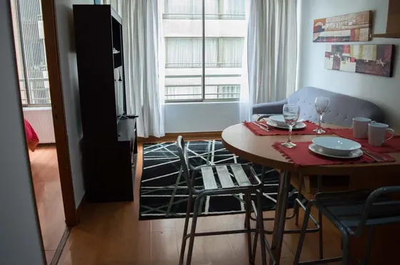 Arriendo Departamento Amoblado 1 Habitación - Recoleta (738)