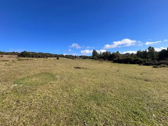 Se Vende 2,5 Has Colinda Con Riachuelo Km 8 Curaco De Vélez