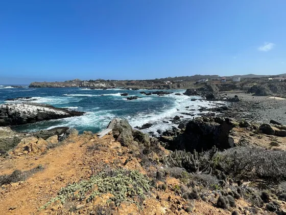Espectacular Parcela Primera Línea Frente Al Mar