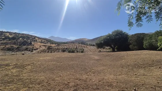 Sitio En Venta En Colina