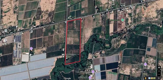 Venta Finca En Produccion  12 Has  El Algarrobal 