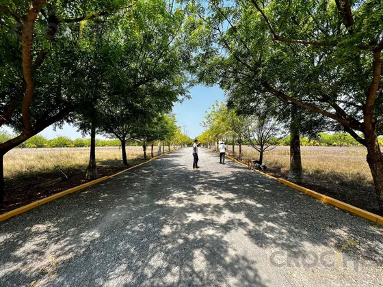Medellín Veracruz Terreno Disponible En Venta Con Alberca