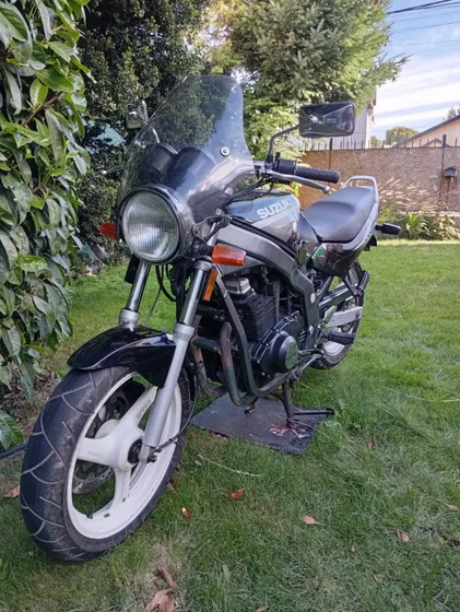 Suzuki Gs500e