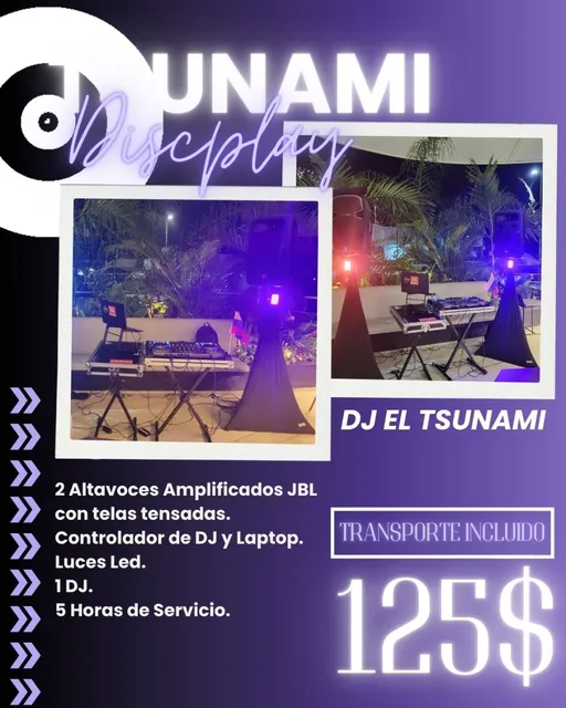 Alquiler De Sonido Iluminacion  Karaoke Dj Fuegos Frios