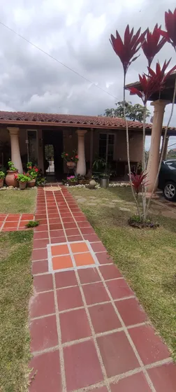 Casa Lindos Ventanales En San Antonio La Morita