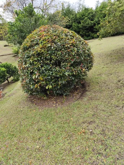 Venta De Espectacular Lote En Guarne 