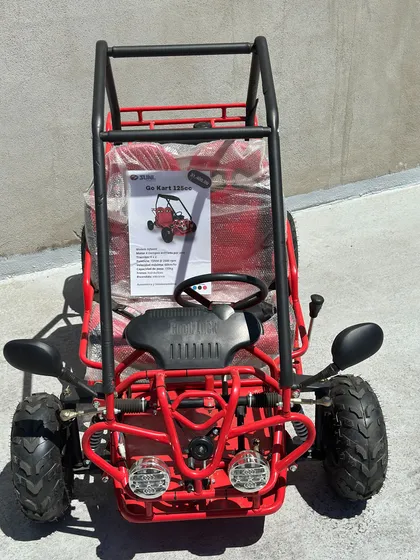 Go Kart Buggy 125cc Infantil (semi Y Automatico)