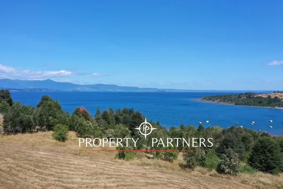 Terreno Borde Lago Ranco 4,2 Há