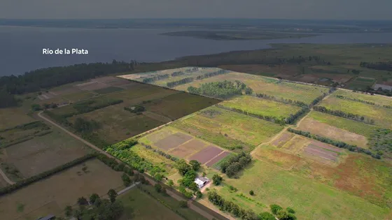 Venta De Chacra En Punta Espinillo Sobre El Río De La Plata