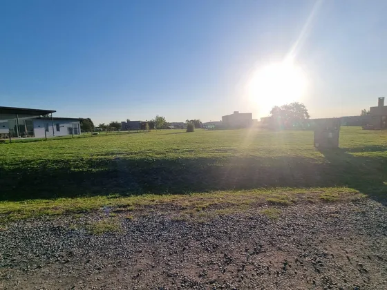 Lote En Venta De 950 M2 En Medal C.c