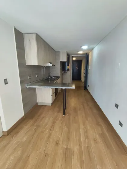 Arriendo Dep 1d 1b Toro Mazote 150 Estación Central
