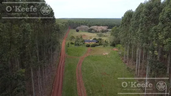 Campo En Venta De 561 Has En Virasoro, Corrientes