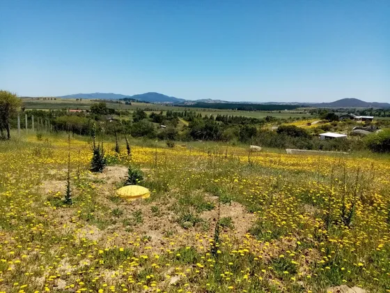 En Venta Linda Parcela A 25 Minutos De Chillan