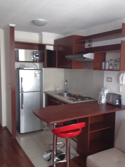 Depto De 1 Dormitorio Amoblado Completo Stgo.
