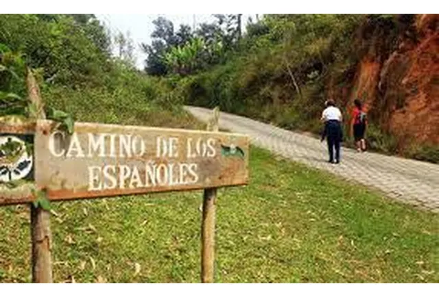 Dos Casas En Venta Con 5000m2 De Terreno En La Pastora Caracas 