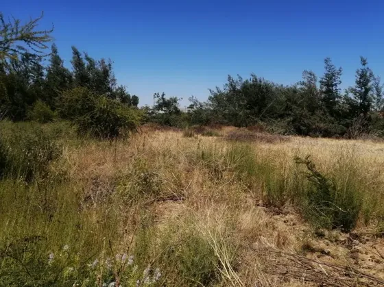 Venta Terreno 5.000 M2 Entrada Linares. Tiene 4 Roles