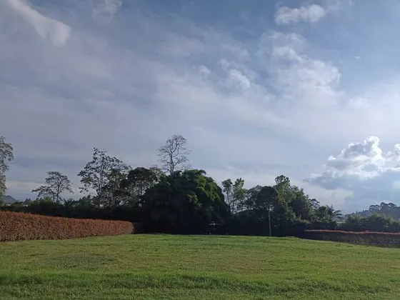 Lote En Venta Ubicado En San Antonio Via La Ceja (20583).