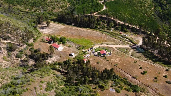 Gran Parcela 8ha Con Casas