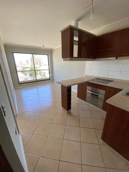 Arriendo Excelente Departamento Centrico En Colo Colo