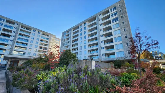Departamento En Venta De 3 Dorm. En Valdivia