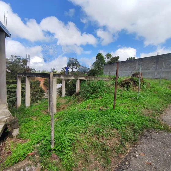 Carrizal, Lomas De Urquía
