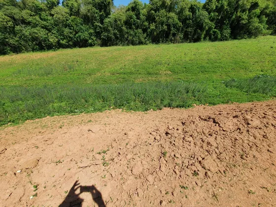Lindo Terreno Plaino De 1000m2 Em Área Rural Em Ibiúna