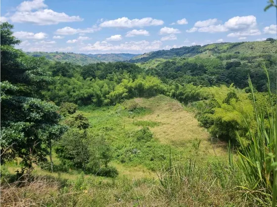 Finca Estrategica Para Desarrollo En La Tebaida Con Frente Sobre Via