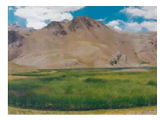 Venta Campo - Barreal - San Juan