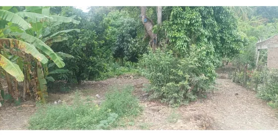 Lote En Venta Palmira Amplio Ubicado En El Bolo San Isidro 
