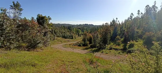 Parcelas De Agrado Camino A Cabrero Desde 5.021 M2