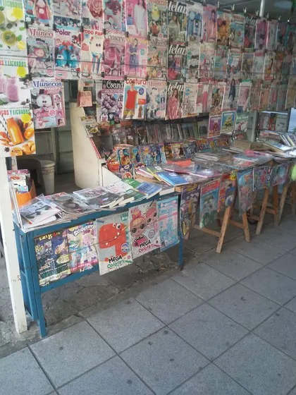 Vendo Puesto De Diario 