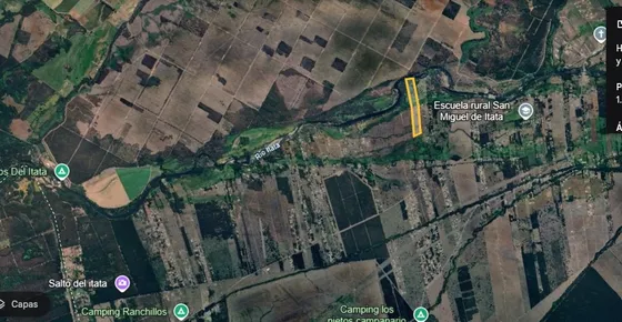 Terreno Conacceso A Rio Itata Flora Nativa