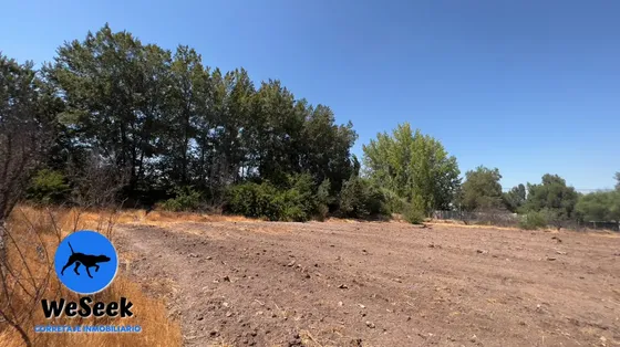 Parcela En Venta En Chicureo,colina (li)