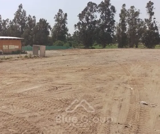 Se Arrienda Terreno De 5.000 En Alba 2 Chicureo