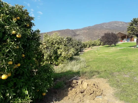 Inversionistas, Terreno De 85 Hectáreas En Culiprán