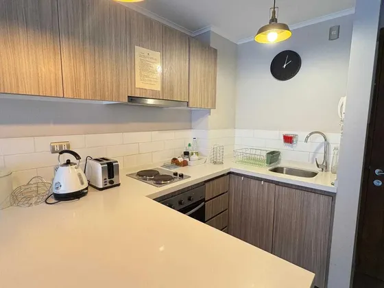 Venta Pucon Depto 1dorm Amoblado (114643)