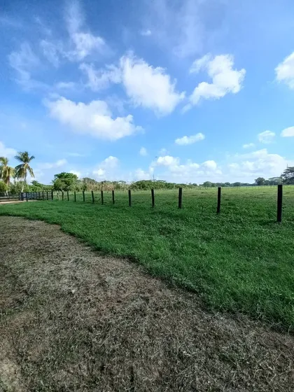 Jp Vendo Finca Multiproposito En Plena Carretera Nacional Via Yaracal