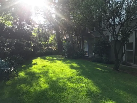 Precioso Duplex En Venta, Lomas De Chapultepec