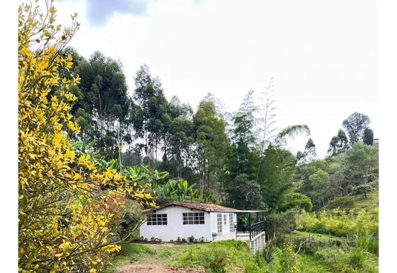 Venta De Finca En Guarne