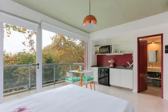 Venta Departamento Monoambiente Con Balcon En Parque Chas Luminoso