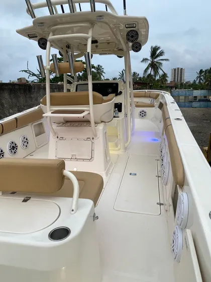 Promarine 33 Open 2009 