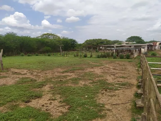 Sky Group Elite Vende Finca Con Terreno En Valle Guanape, Edo. Anzoategui
