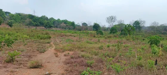 Terreno En  Renta De Terreno A Pie De Carretera En  Sebastopol Tuxtepec Oaxaca 