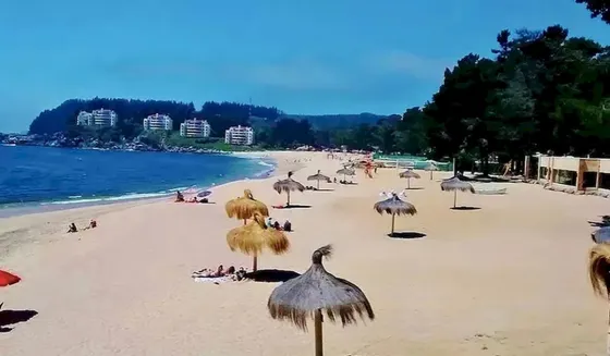 Pingueral - Terreno  A Pasos De Playa Y Plaza De Comercio